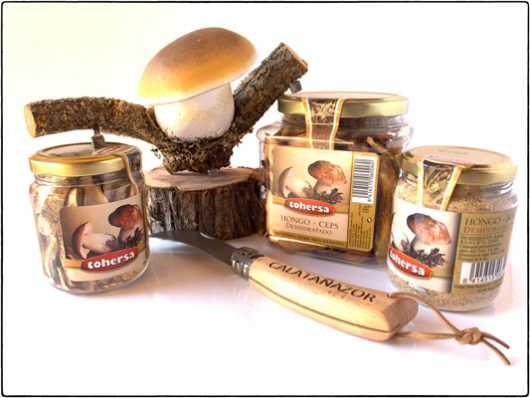 Boletus-y-Harina-de-Boletus