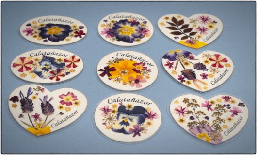 Imanes Flores Secas - Imagen 2