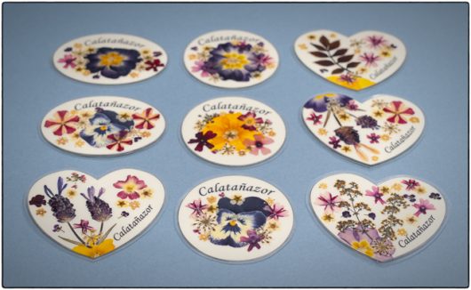 Imanes Flores Secas
