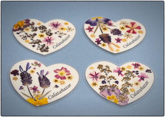 Imanes Flores Secas - Imagen 3