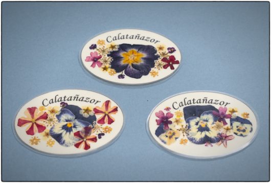 Imanes Flores Secas - Imagen 5