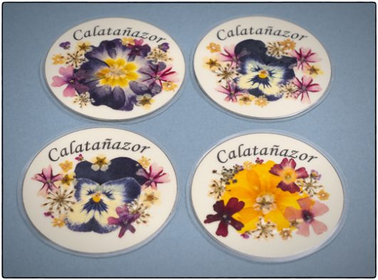 Imanes Flores Secas - Imagen 4
